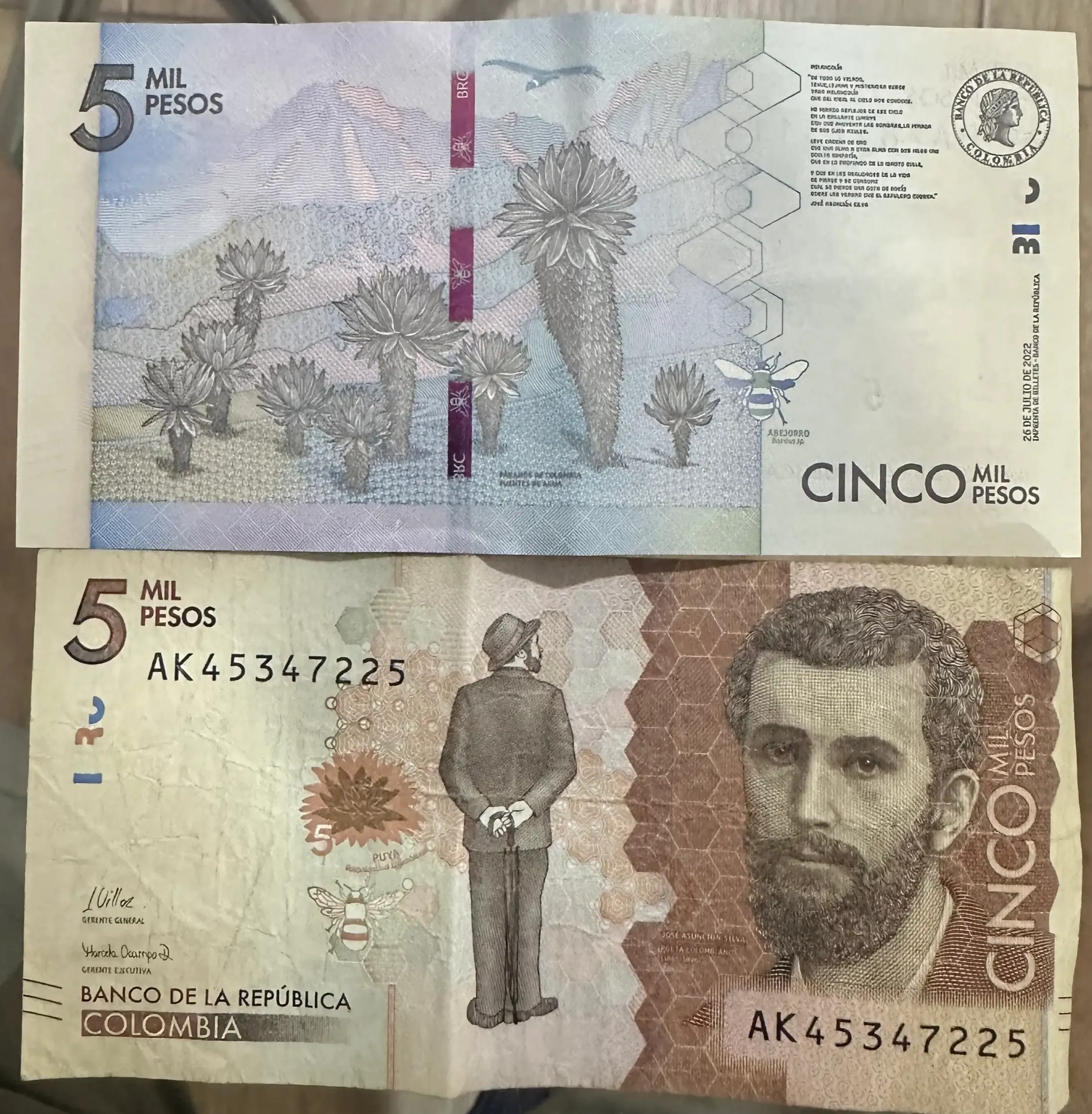 5,000 Colombian peso banknote, in brown tones, showing Andean fauna and flora