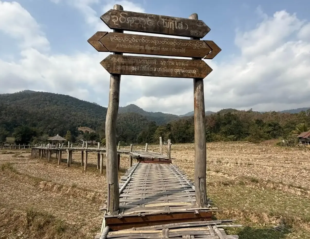 Bamboo Bridge