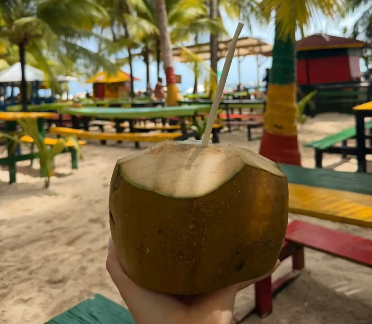 Coco de San Andrés