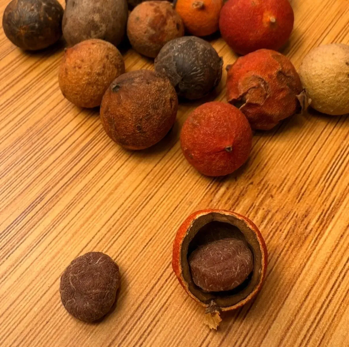 Corozo mûr, petit fruit rougeâtre typique de Colombie
