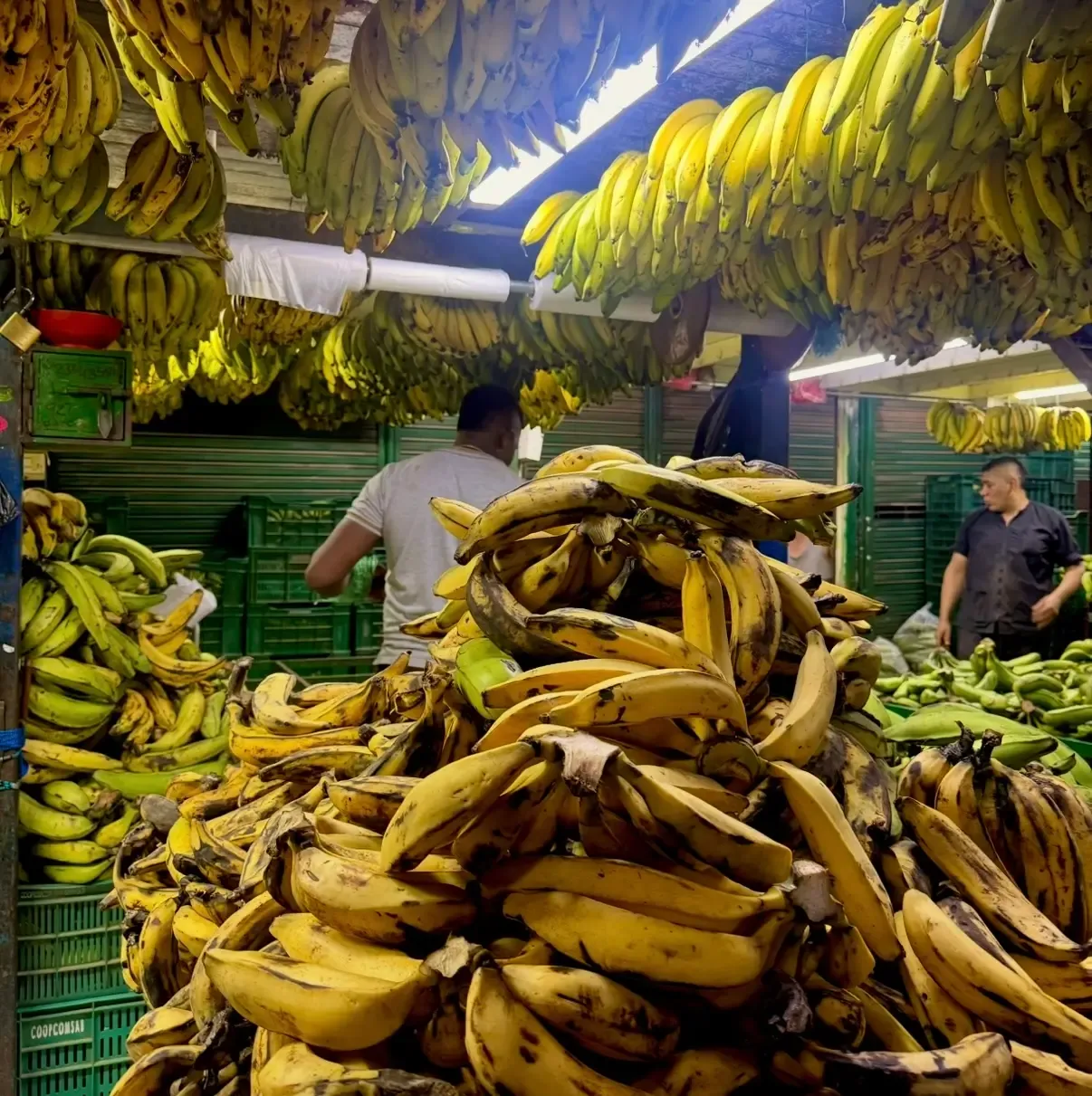 Fruits tropicaux colorés au marché Plaza Minorista à Medellín