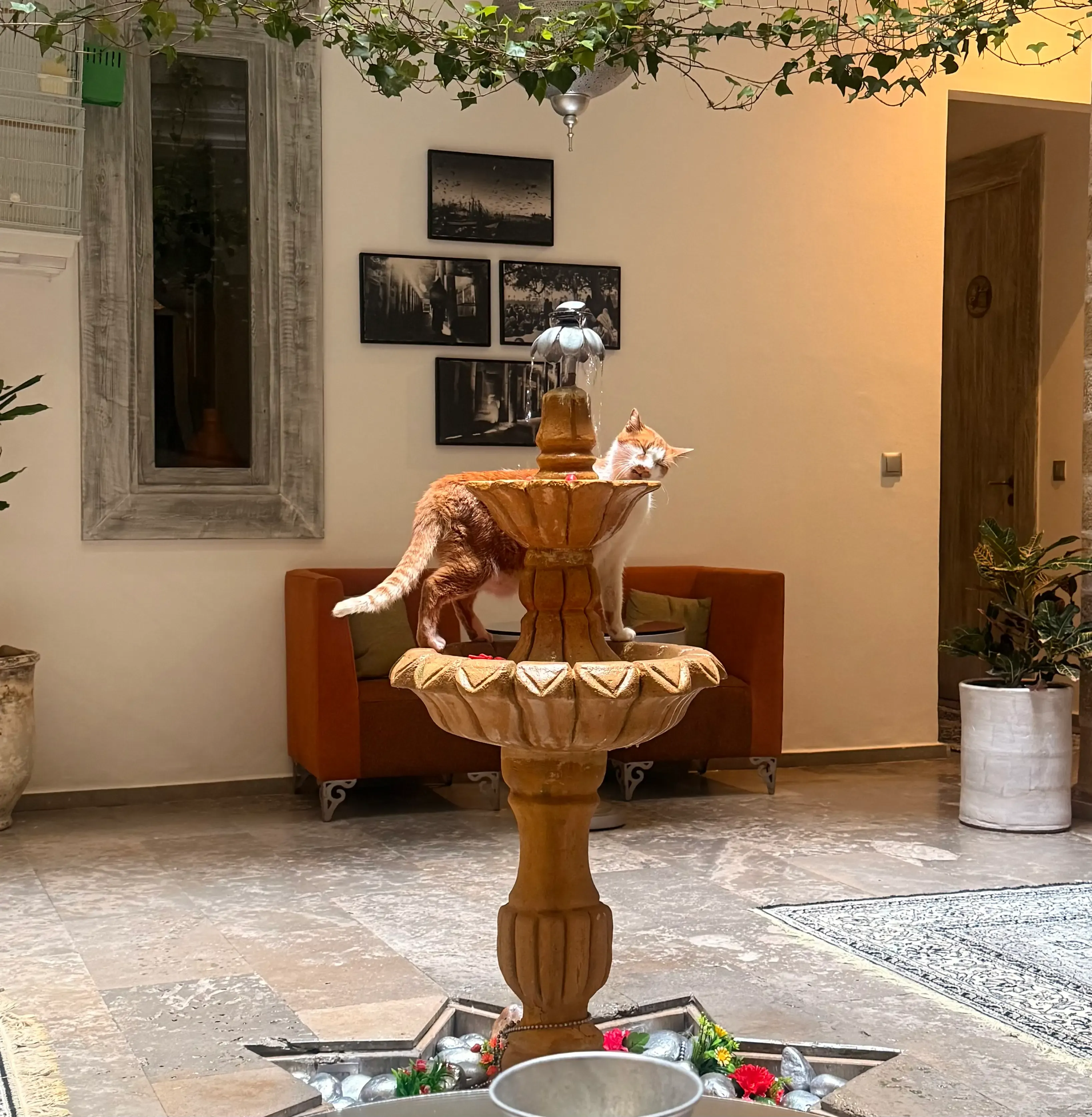 Spa traditionnel avec hammam au Riad Raoud Rayhane à Essaouira