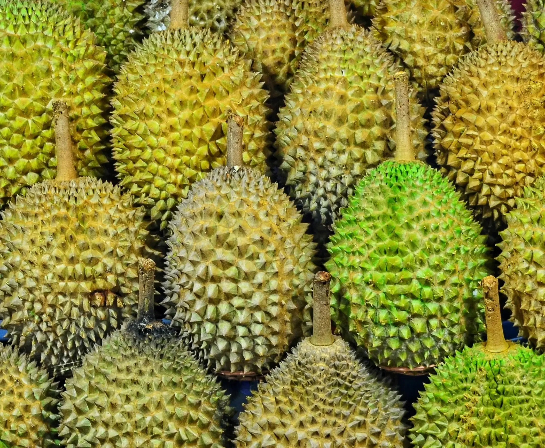 Image de fruits exotiques thaïlandais.