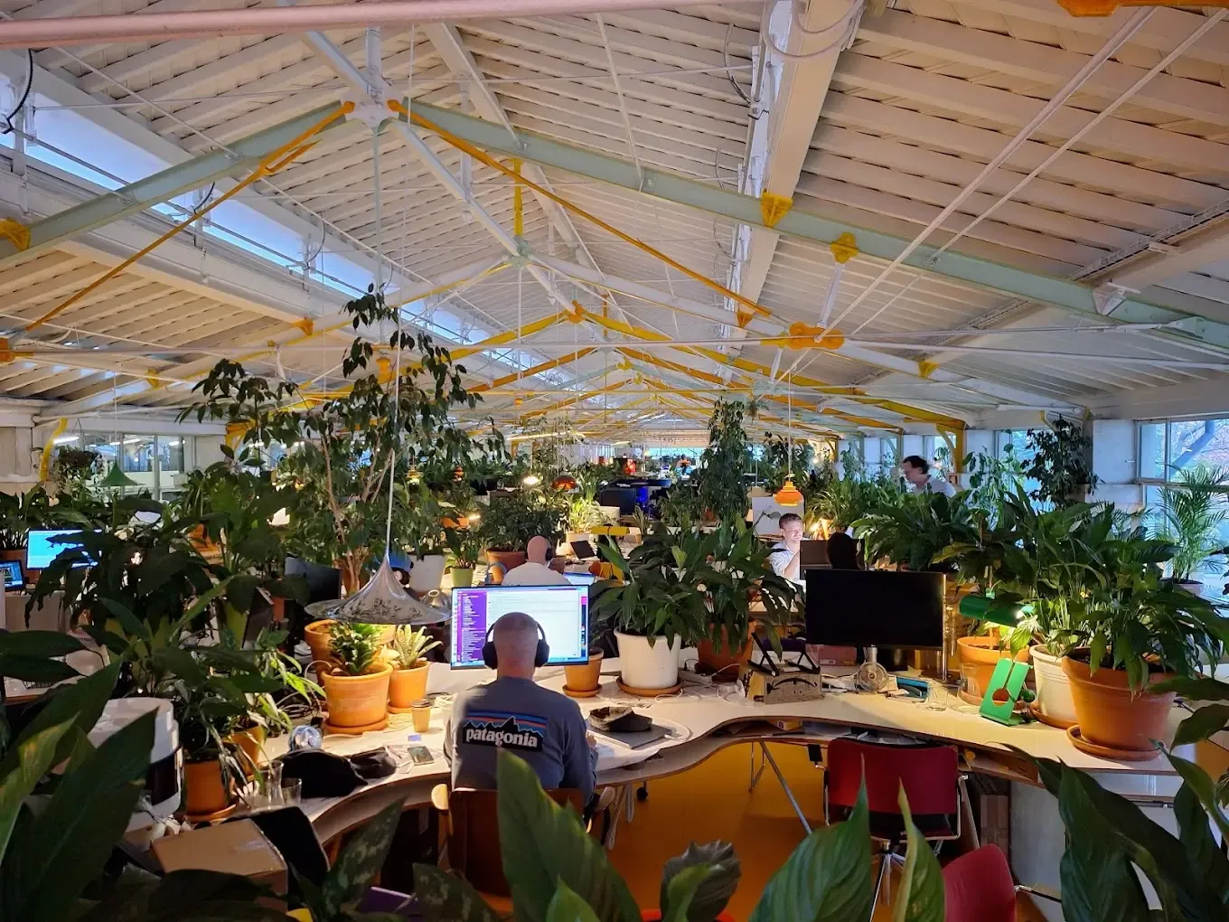 Jungle Coworking Lisbon