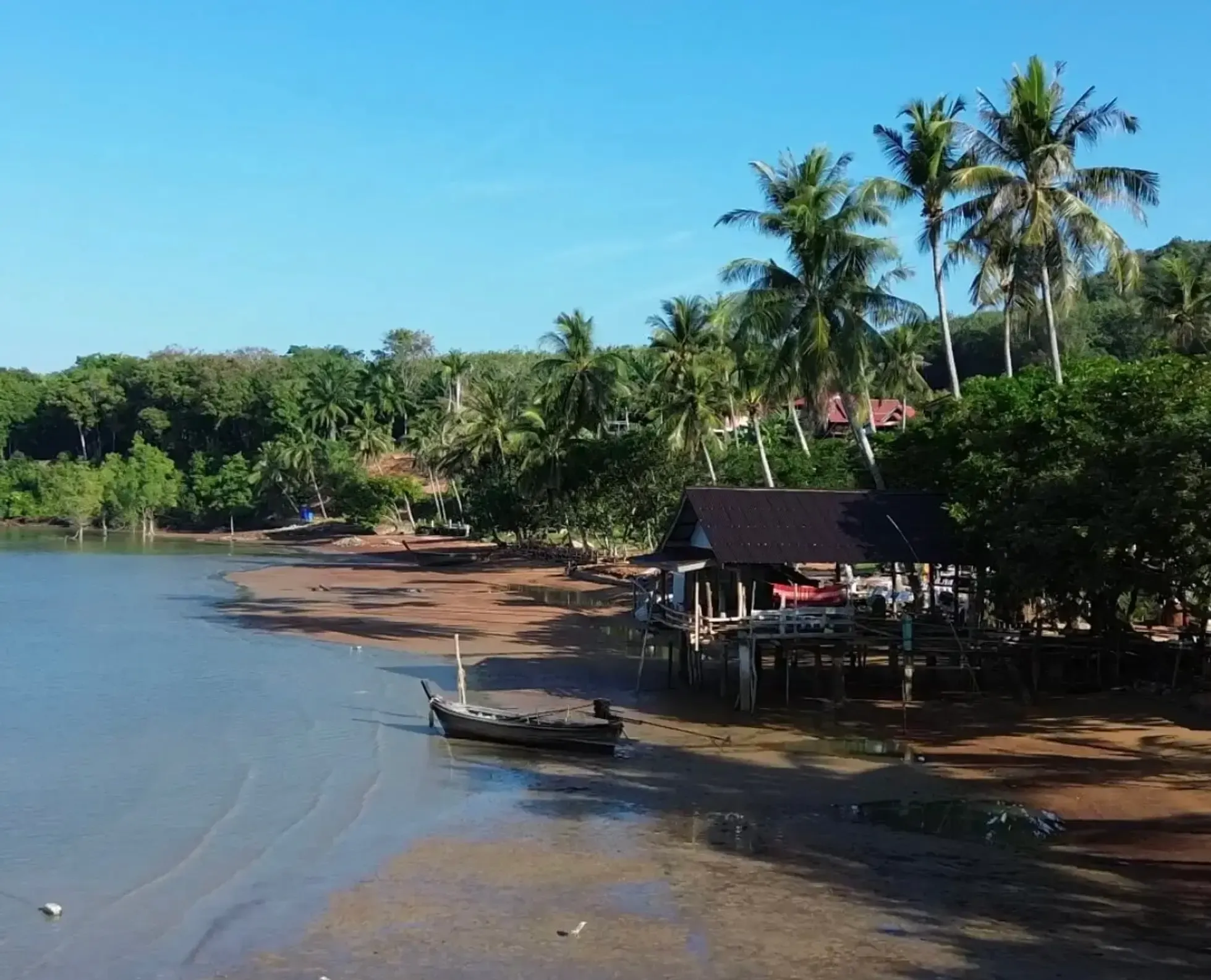 Explorer la zone des buffles à Koh Yao Noi
