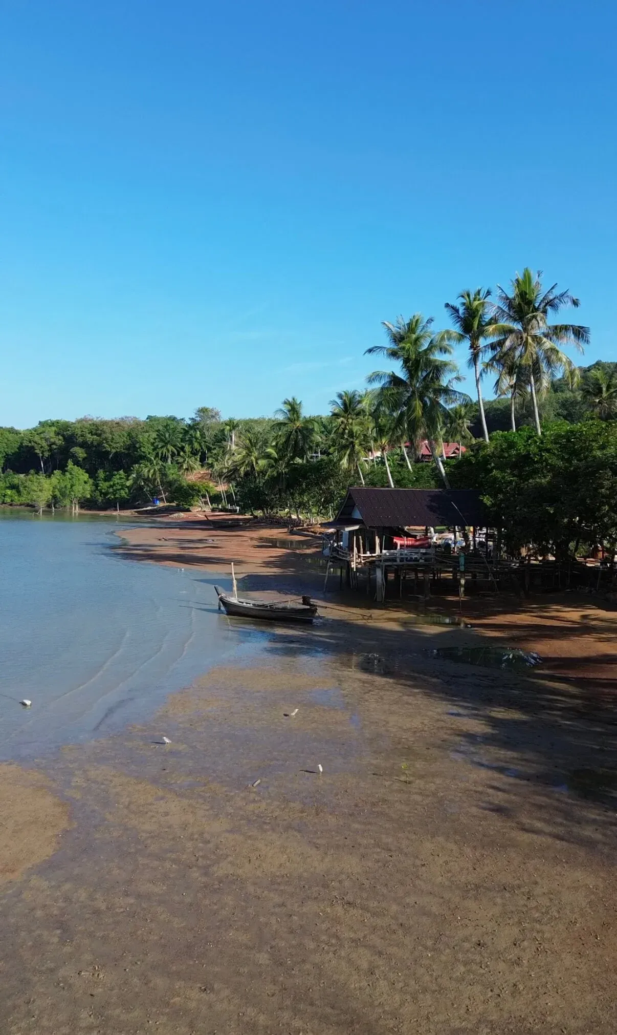Explore the buffalo zone in Koh Yao Noi