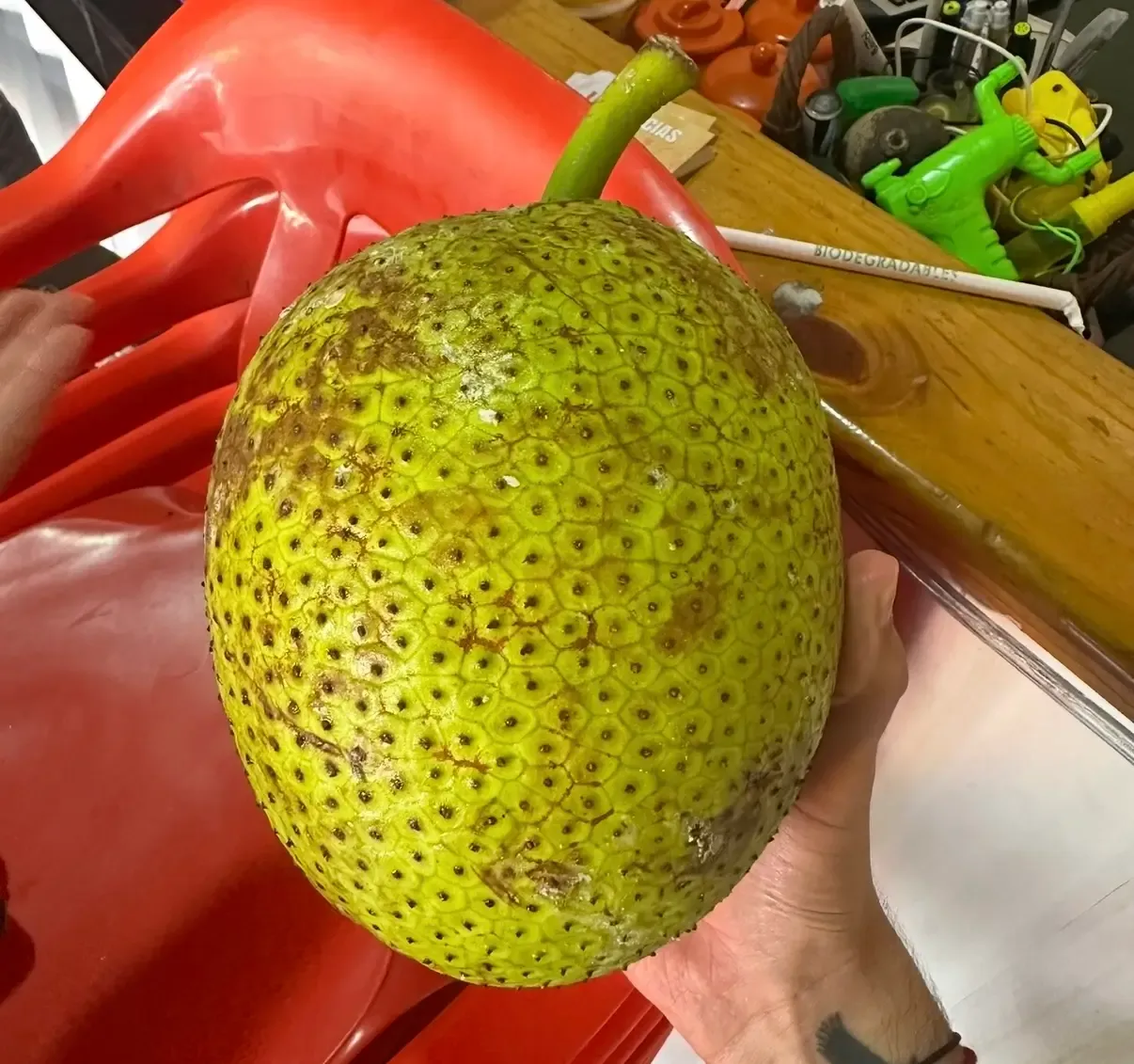 Frutapán de San Andrés