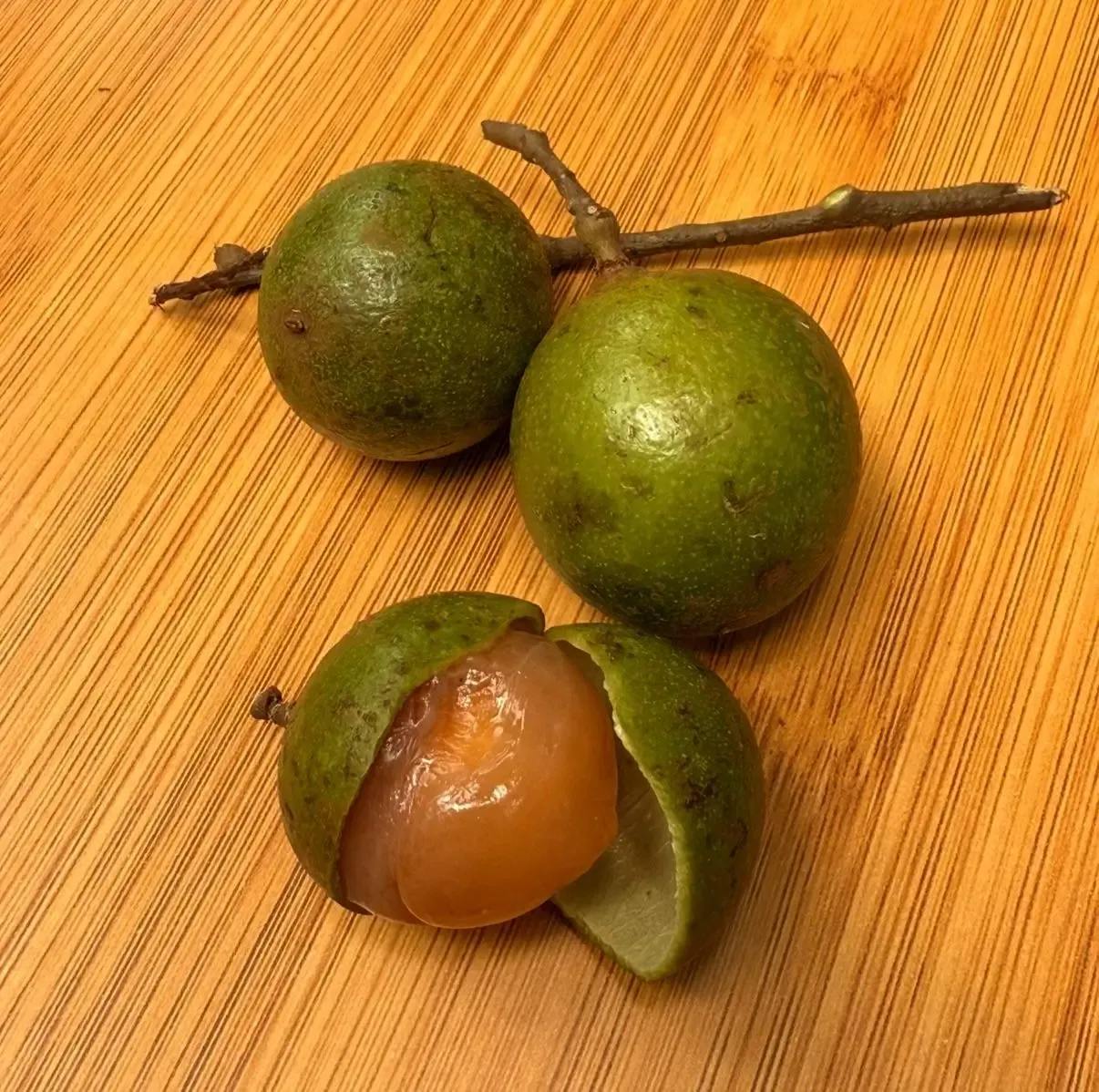 Mamoncillo frais, fruit exotique vert de Colombie