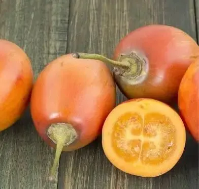 Tomate de árbol frais, fruit exotique de Colombie