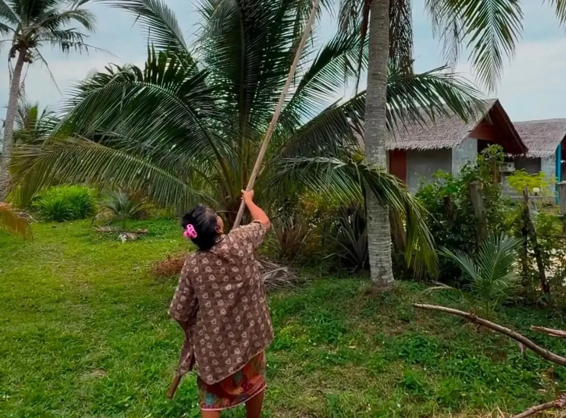 Goûter à la noix de coco fraîche à Koh Yao Noi