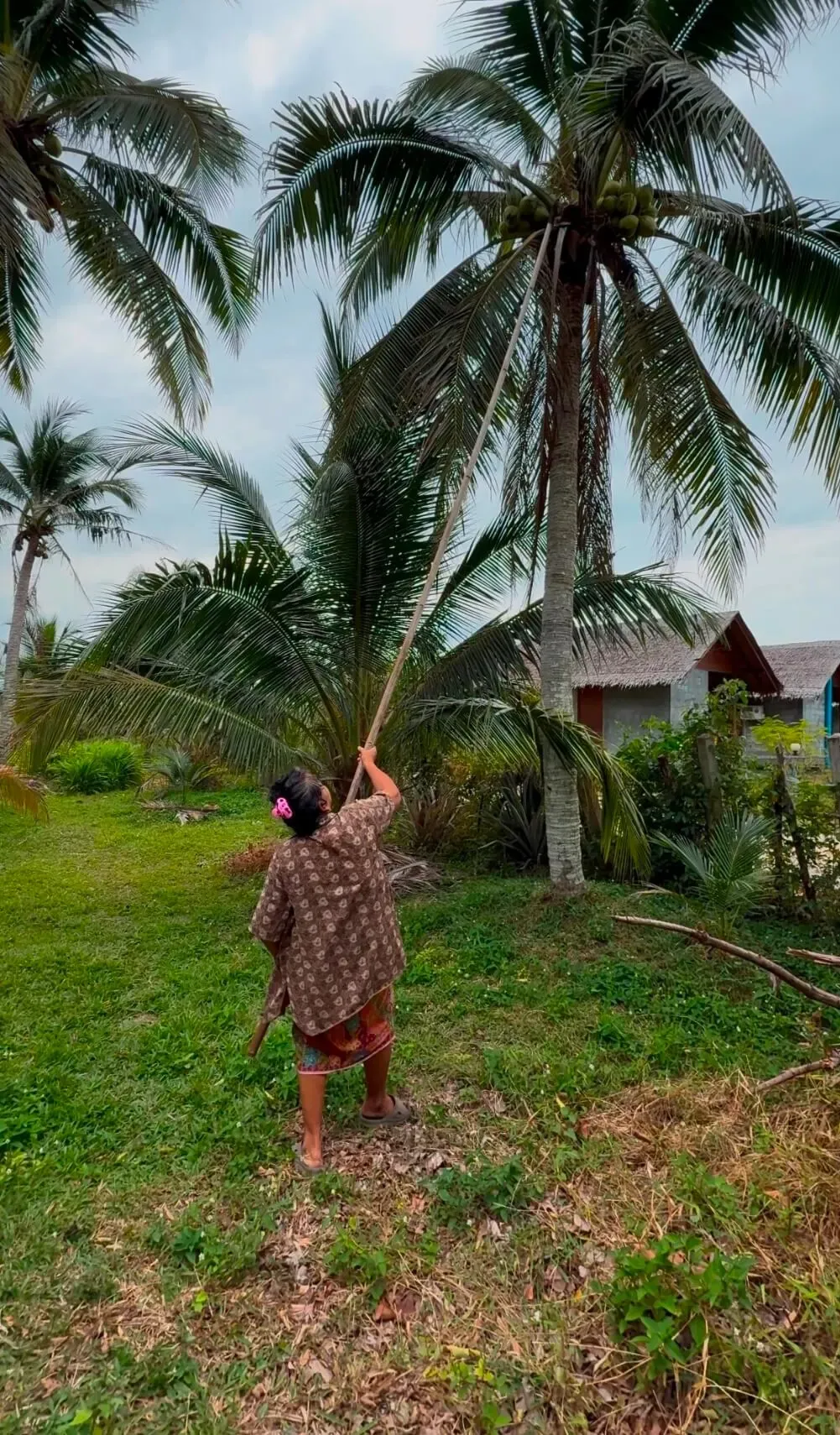 Try fresh coconut in Koh Yao Noi